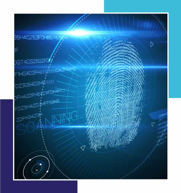 digital fingerprints in visalia, california